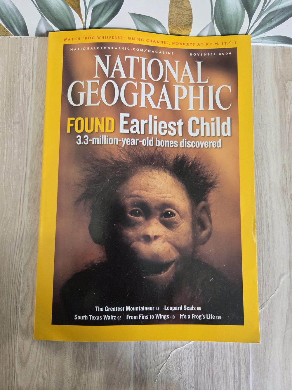 National Geographic November 2006 Earliest Child Fossil Discovery Magazine